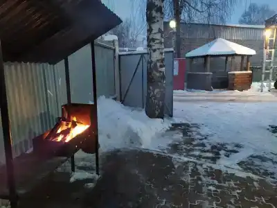 Дельфин - 11