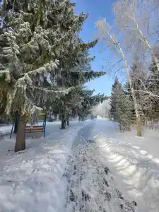 Александрия - 18