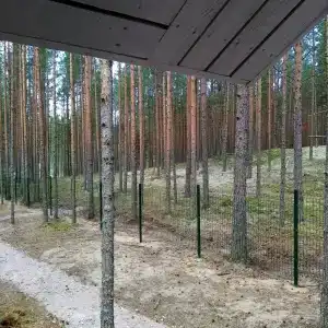 Туулос - 49