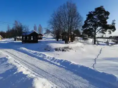 Фазенда Глухомань - 18