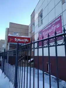 Колибри - 2