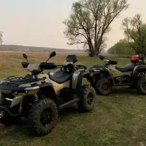 ForestHouse Лесной домик - 0