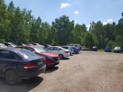Поляна - 8
