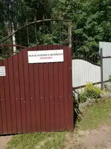 Лесовичок - 18
