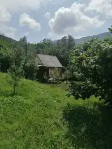 База отдыха у Иваныча - 23