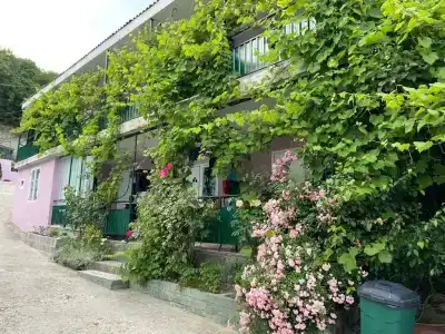 Табаловых - 18