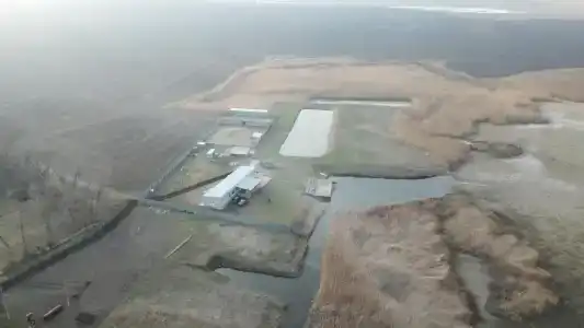 Оазис Станицы - 29