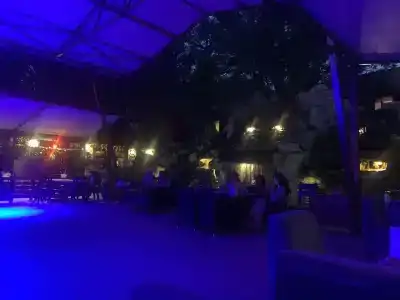 Золотая вилка - 50