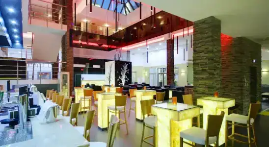 Голден Тюлип - 11