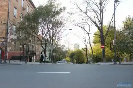Каштан - 0