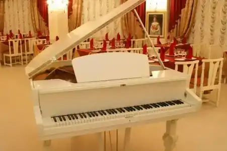 Дельфин - 2