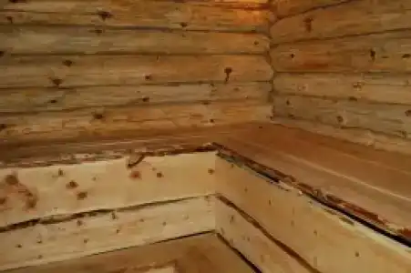 Жыхарка - 42