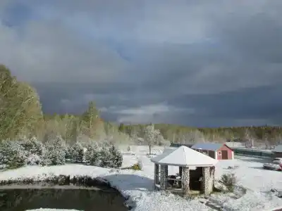 Харвик-холл - 12