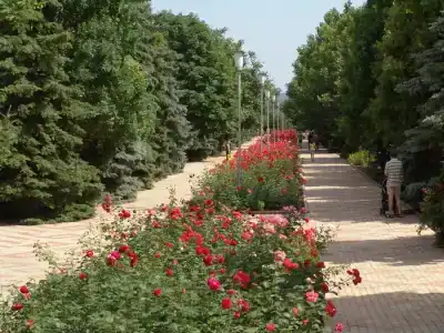 Пансионат Дорожник - 63