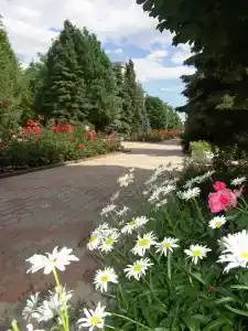 Пансионат Дорожник - 61