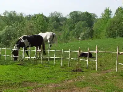 Гармония - 1