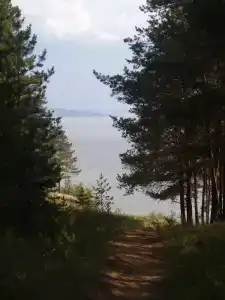 Голубые огни - 22