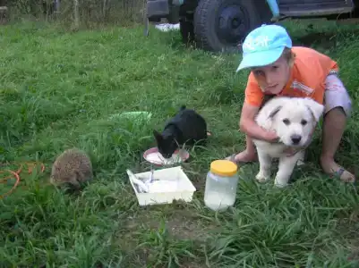 Русские просторы - 17