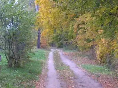 Русские просторы - 9