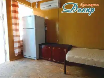 Днепр - 10