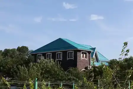 Медведь - 3