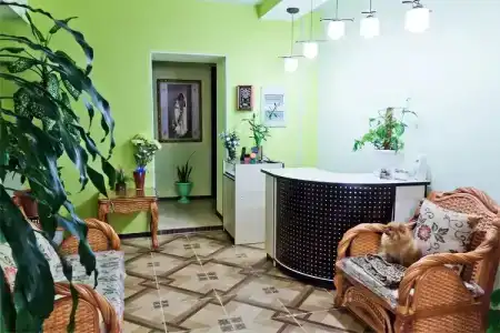 Абсолют - 1