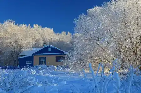 Вулканолог - 5