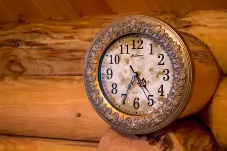 Кедровая заимка - 9