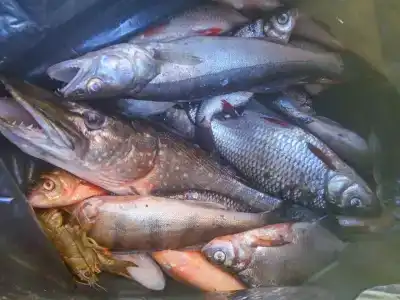 Пристань - 27