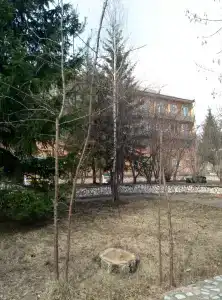 Три Медведя - 46