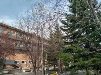 Три Медведя - 38
