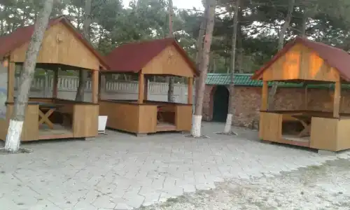 Сосновый бор - 6