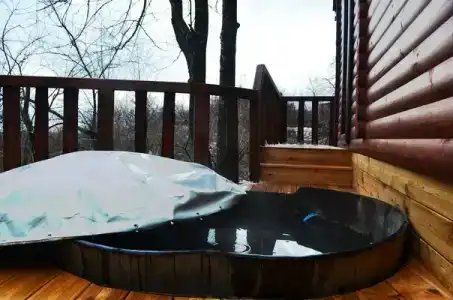 Лесной кордон - 97