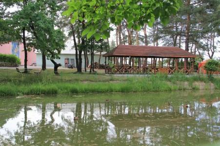 Лесовичок - 40