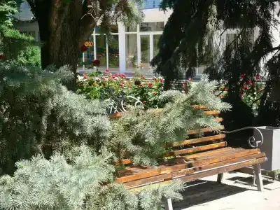 Пансионат Дорожник - 8