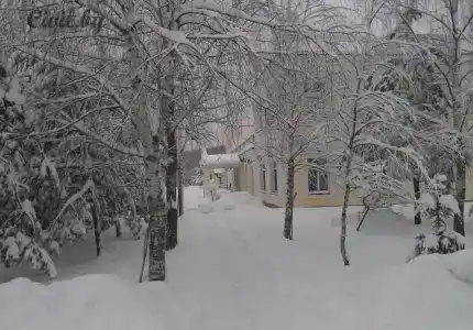 Вишневый сад - 22