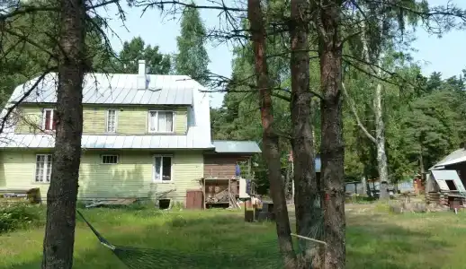 Динамо - 5