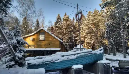 Динамо - 0