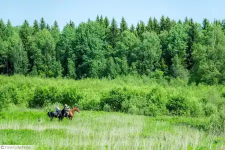 Храброво - 7