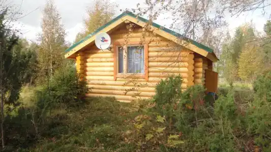 Урочище Коркиниеми - 4