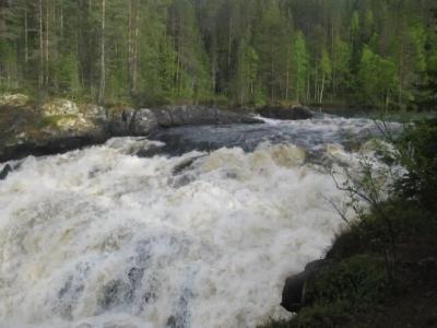 Урочище Коркиниеми - 9