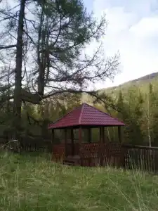 Маральник Айхал - 7