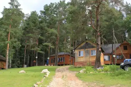 Гнездо - 6