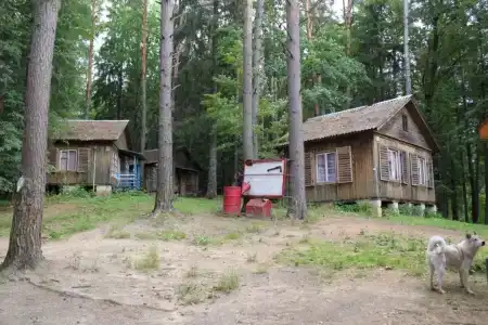 Гнездо - 7