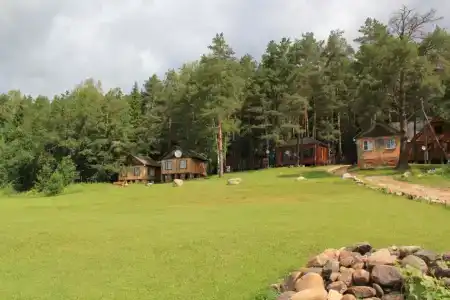 Гнездо - 9