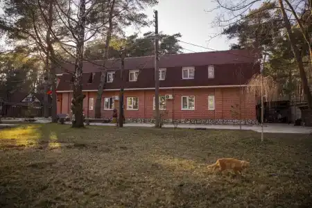 Сосновый Бор - 4