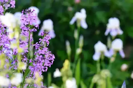 Махерово - 9