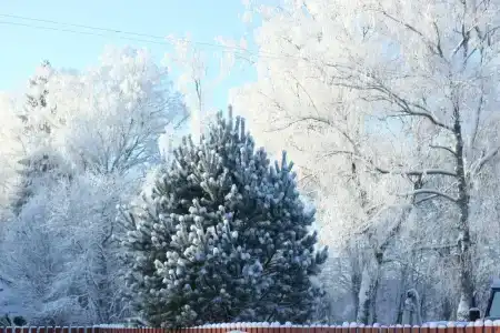 Махерово - 14