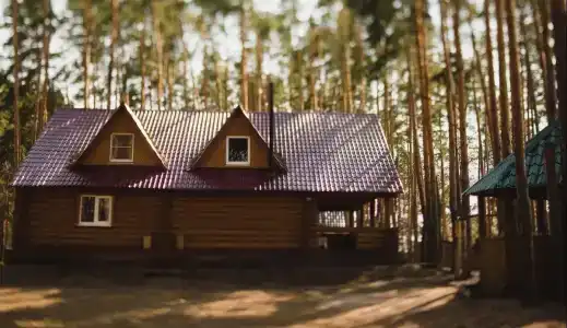 Разгуляй - 1