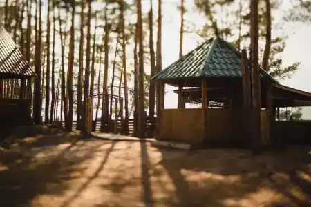 Разгуляй - 4